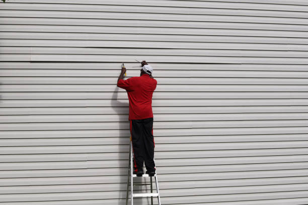 Best Steel Siding Installation  in , IA